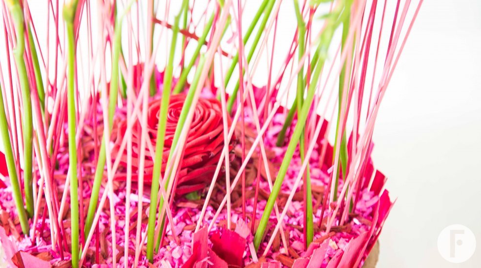 freesia hart close up Nelleke Bontje Flower Factor