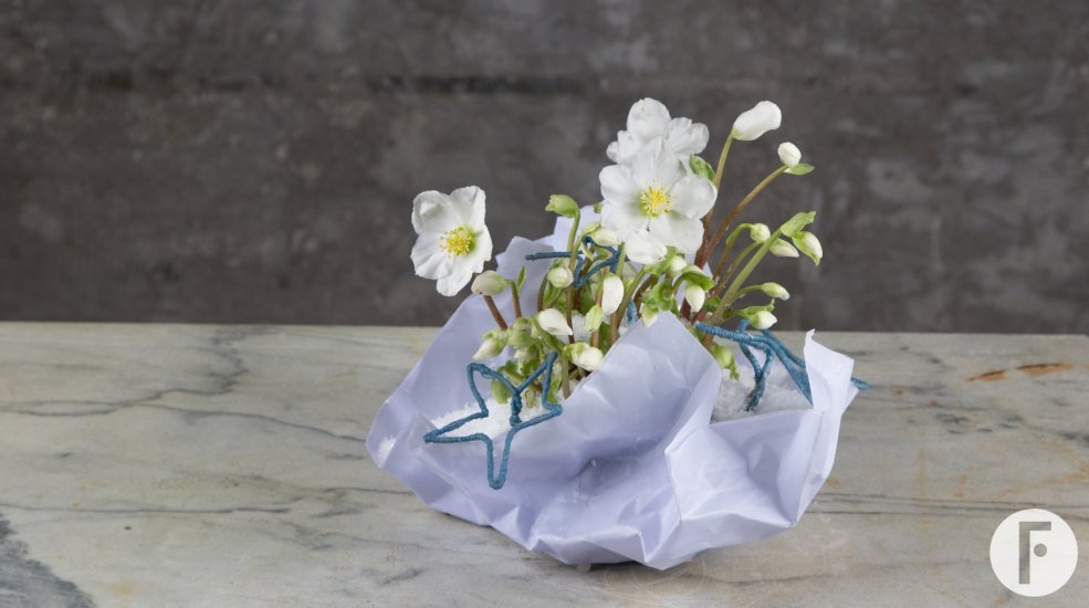 hellebore design with paper container Kristel van Dijk Flower Factor
