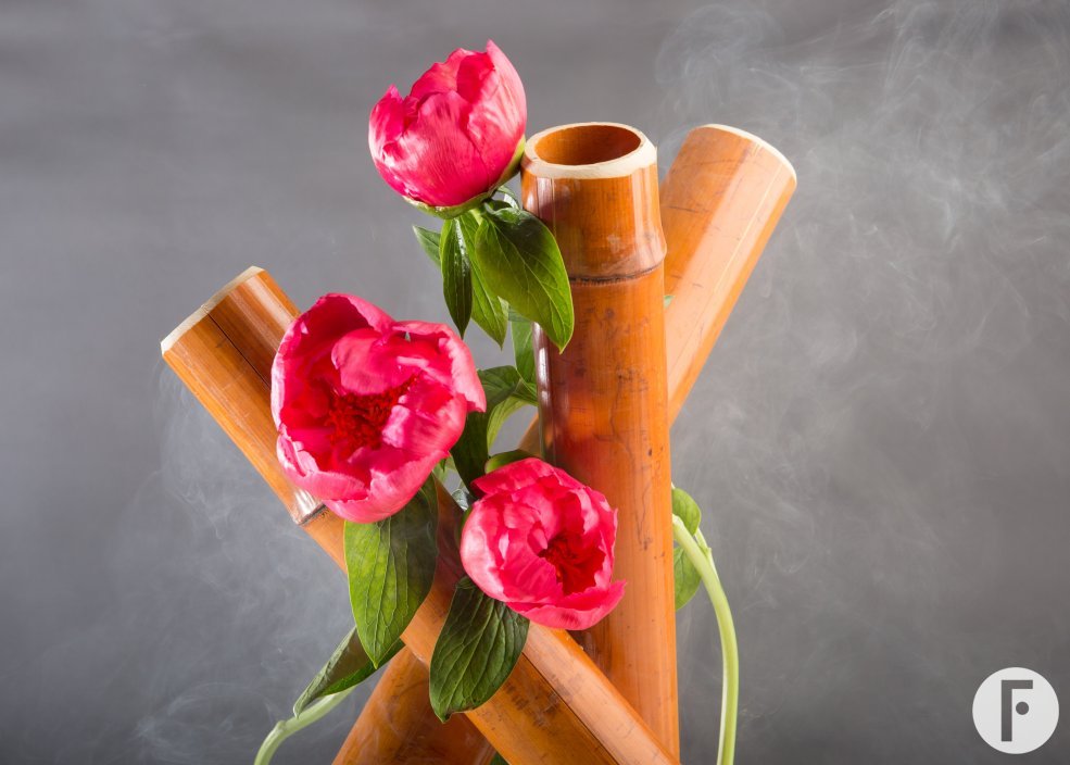 flower factor mypeony natures luxury 5