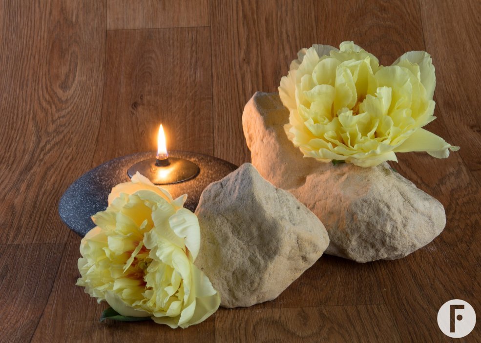 flower factor mypeony natures luxury 7