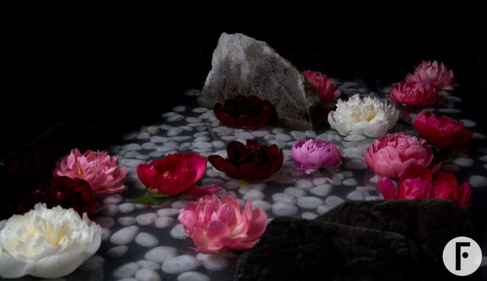 flower factor mypeony natures luxury 8