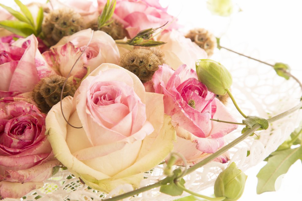 romantic rose design close2