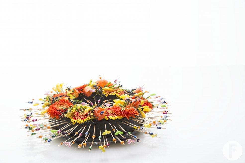 summer in rio totaal