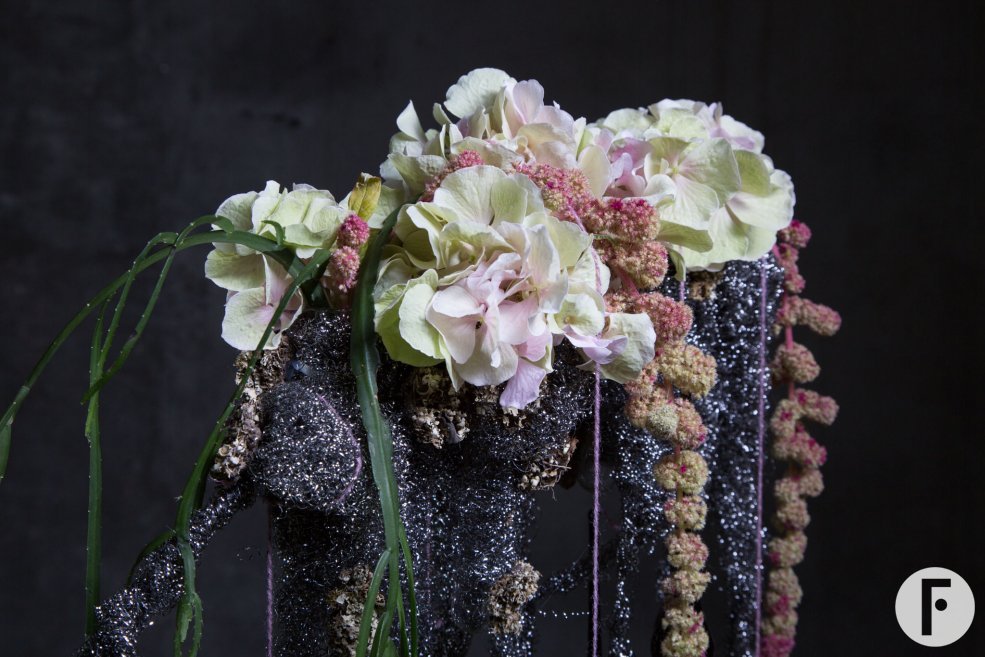 Close-up of the Hydrangea 'Verena Classic'
