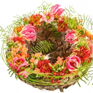 8 Jantine van Bruggen boven