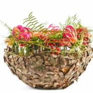 8. Jantine van Bruggen