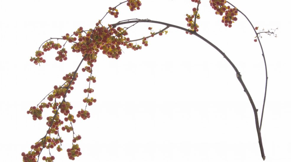 570A9875 small