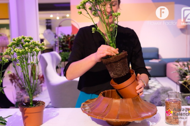 Green Living inspiration - Modern Kalanchoe arrangement