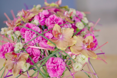 Dianthus frame bouquet