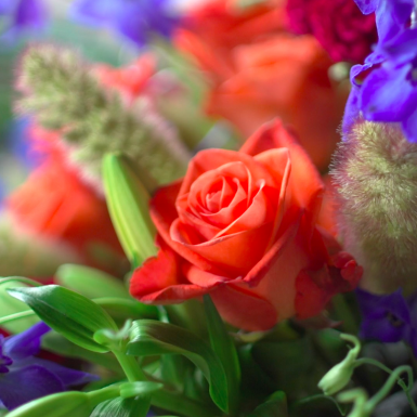 a bouquet with a Wow factor