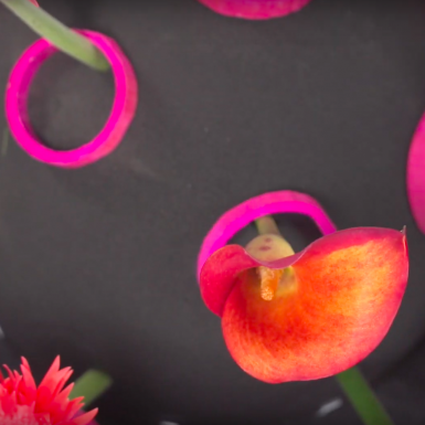 Idee voor bloemwerk met Black Ideal steekschuim