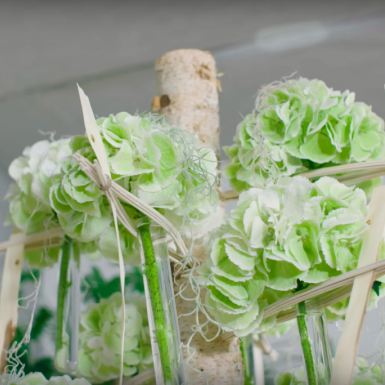 Boom van classic Hortensia's