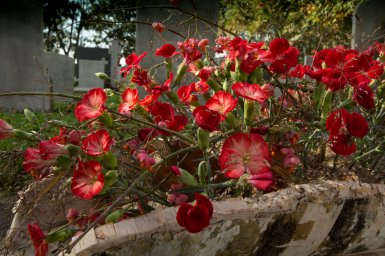 Afscheidsbloemwerk met Sparkz