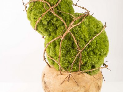 Foto tutorial: bloemwerk met Green Trick