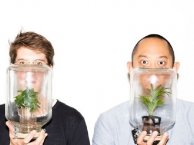 Let it Grow's Greenhouse Festival