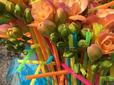 #FreestyleFreesia: Start off video series