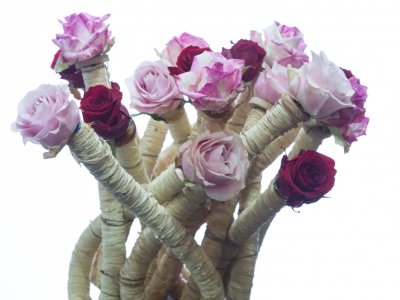 Floral designs presented at IPM 2017